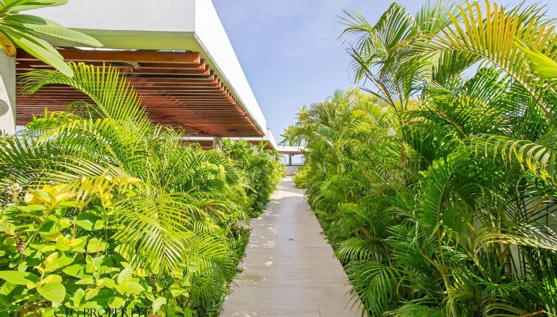 Martinique Cartagena - Apartamentos A Corta Caminata De Playa Azul Apartment